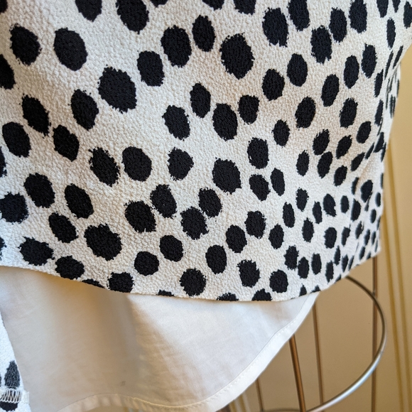Polka Dot Skirt - Picture 6 of 6
